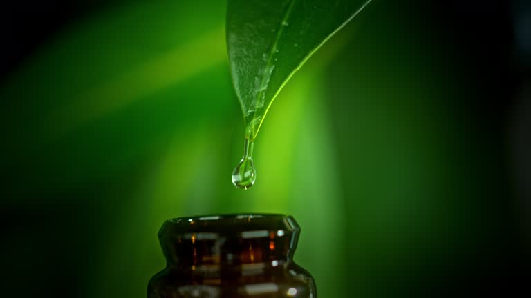 Natural massage oils